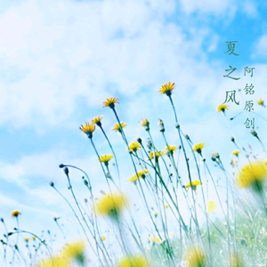 复古HXD经典电影
