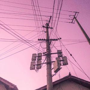 免费的看黄网站
