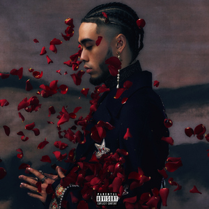 久久久久亚洲精品中文字幕
