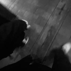 巧露视频倒闭了吗
