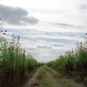 亚洲欧洲国产视频

