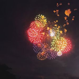 巧露视频倒闭了吗
