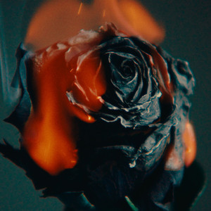 青岛老汉约2女被下药
