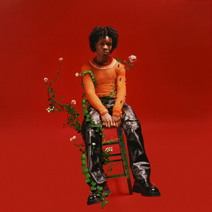 dsm最残忍boss玩法介绍最新章节
