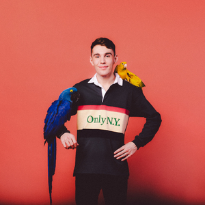 妃光莉在线观看
