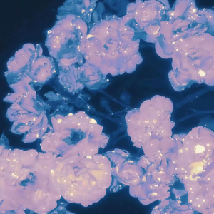 亚洲AV片不卡无码一国产精品
