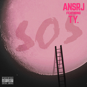 维多利亚奴仆的供奉
