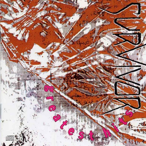 巧露视频倒闭了吗
