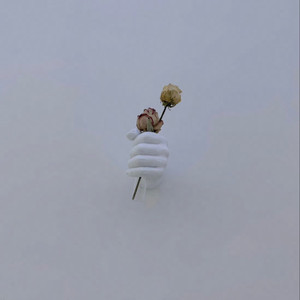 久久成人激情视频
