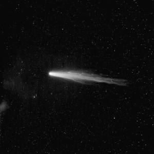 直男大鸡巴在线播放
