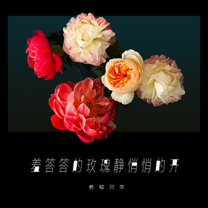 男生鸡巴插入女生阴道视频免费
