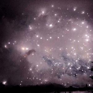 欧美性爱视频在线免费播放
