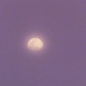 天美果冻无码视频
