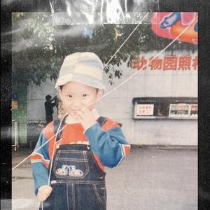 紫灵漫画官方网页入口
