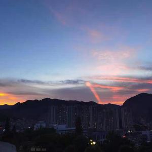 维多利亚奴仆的供奉
