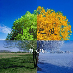 妃光莉在线观看
