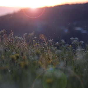 女警拘束衣带锁高跟鞋调教
