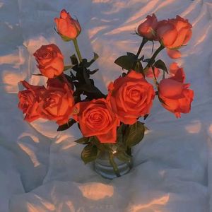 九色成人91蝌蚪在线免费视频
