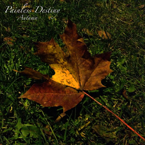 巧露视频倒闭了吗
