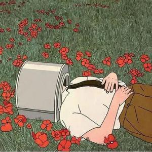 紫灵漫画官方网页入口
