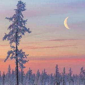 赵丽颖国产AA片
