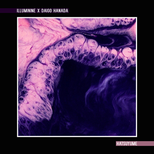 巧露视频倒闭了吗
