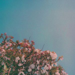 久久成人激情视频
