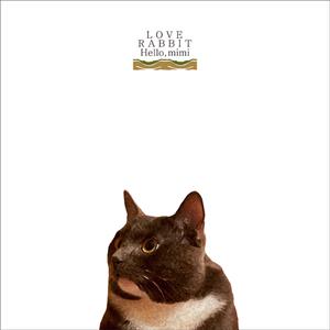 巧露视频倒闭了吗
