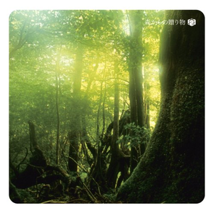 少妇喜欢我不戴套子
