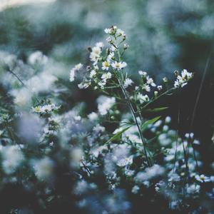 肛门爽最简单的方法
