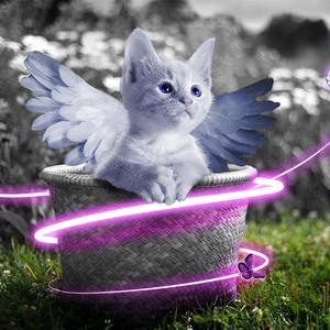 亚洲AV无码一区二区高潮
