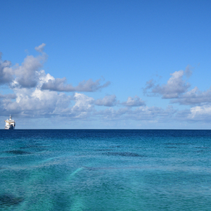 成人做爱毛片免费看
