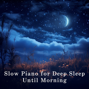 成人自拍视频免费网站
