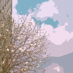 免费看午夜无码福利专区
